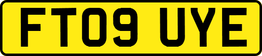FT09UYE