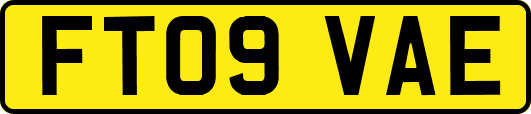 FT09VAE