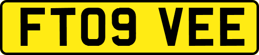 FT09VEE