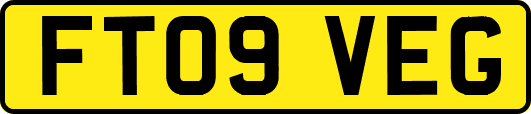 FT09VEG