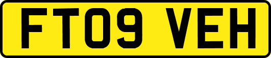 FT09VEH