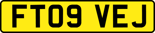 FT09VEJ