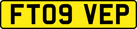 FT09VEP