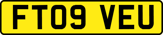 FT09VEU