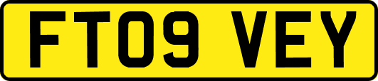 FT09VEY