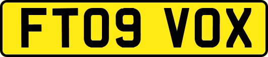 FT09VOX