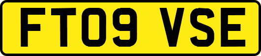 FT09VSE