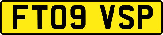 FT09VSP