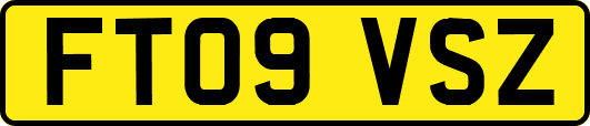 FT09VSZ