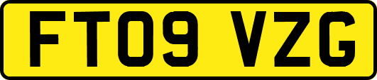 FT09VZG
