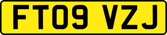 FT09VZJ