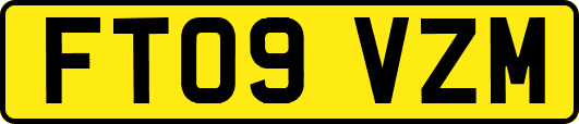 FT09VZM