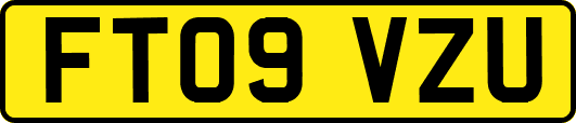 FT09VZU