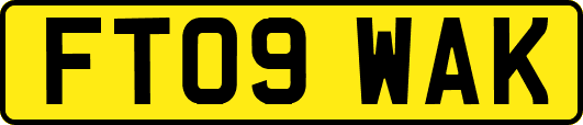 FT09WAK