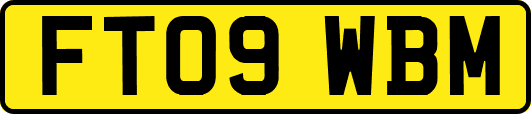 FT09WBM