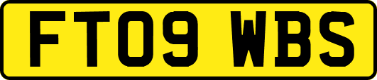 FT09WBS