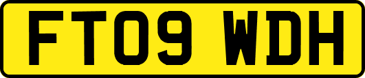 FT09WDH