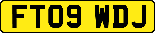 FT09WDJ