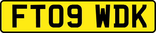 FT09WDK