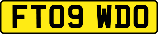 FT09WDO
