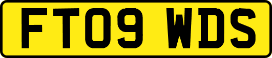 FT09WDS