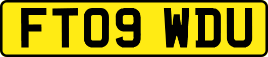 FT09WDU