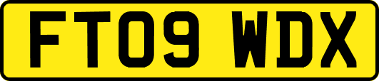 FT09WDX