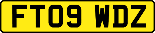 FT09WDZ