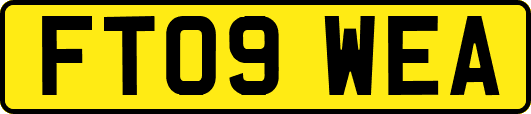 FT09WEA