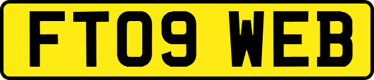 FT09WEB