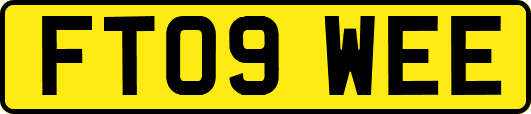 FT09WEE