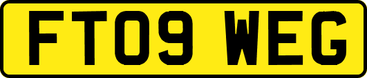 FT09WEG