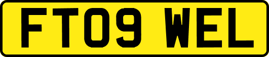 FT09WEL