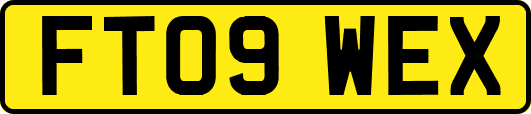 FT09WEX