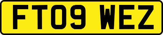 FT09WEZ