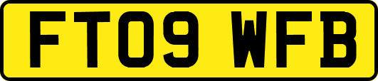 FT09WFB