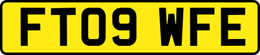 FT09WFE