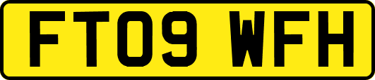 FT09WFH