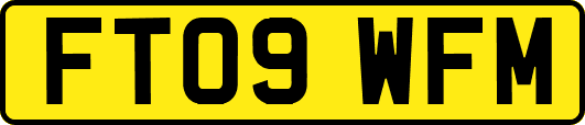 FT09WFM