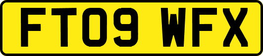 FT09WFX