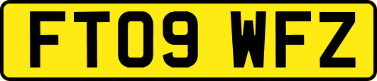 FT09WFZ