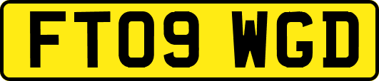 FT09WGD