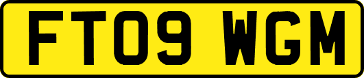 FT09WGM