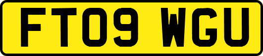 FT09WGU