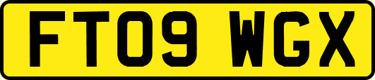 FT09WGX