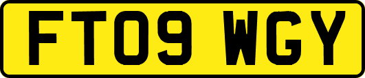 FT09WGY