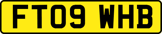 FT09WHB