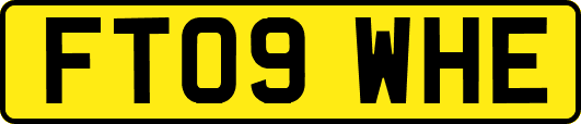 FT09WHE