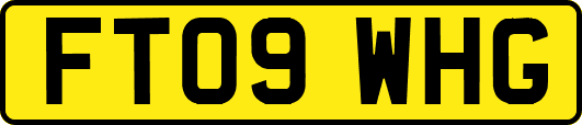 FT09WHG