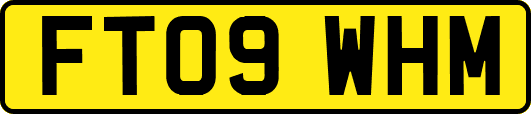 FT09WHM